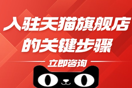 入驻天猫旗舰店的关键步骤解析